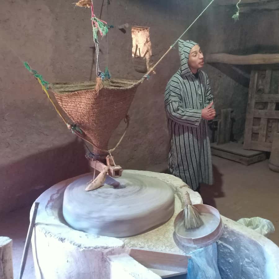 Excursion Ourika valley and atlas mountains with Lunch - Leaving Marrakesh for the Ourika Valley