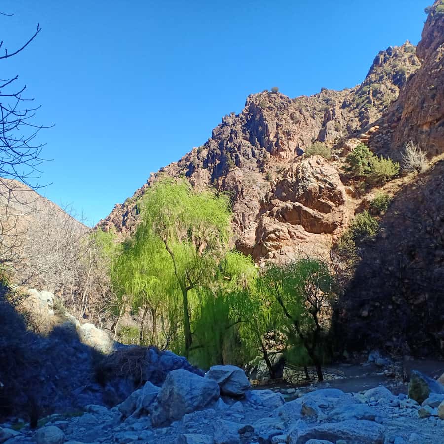 Excursion Ourika valley and atlas mountains with Lunch - The return to Marrakesh