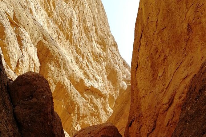 Excursion to Gorge Dades and Canyon Fingers of Monkey Morocco - Geology, birds, plants, and the Dades biotope