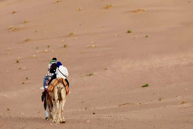 Experience Luxury in Zagora: 2-Day Desert Adventure - Leaving Marrakech for the High Atlas