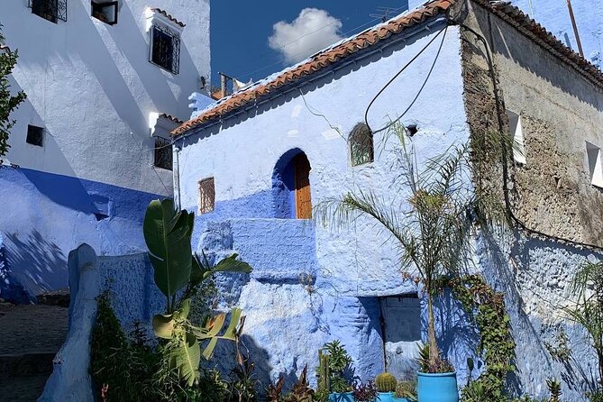 Explore chefchaouen like a local - Two hours through the blue alleyways