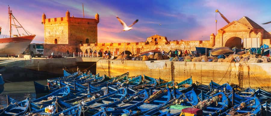 Explore Essaouira's Secrets: A Guided Tour with a Local! - Key points to know before booking