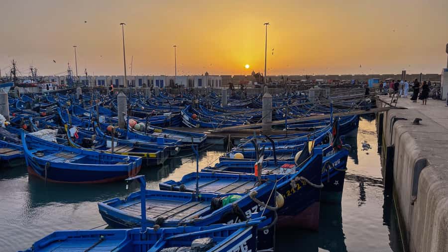 Explore Essaouira's Secrets: A Guided Tour with a Local! - Walking through the medina and Mellah