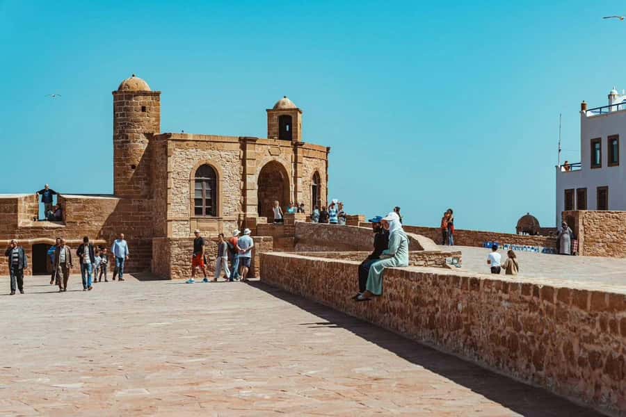 Explore Essaouira's Secrets: A Guided Tour with a Local! - Seafood lunch in the old city