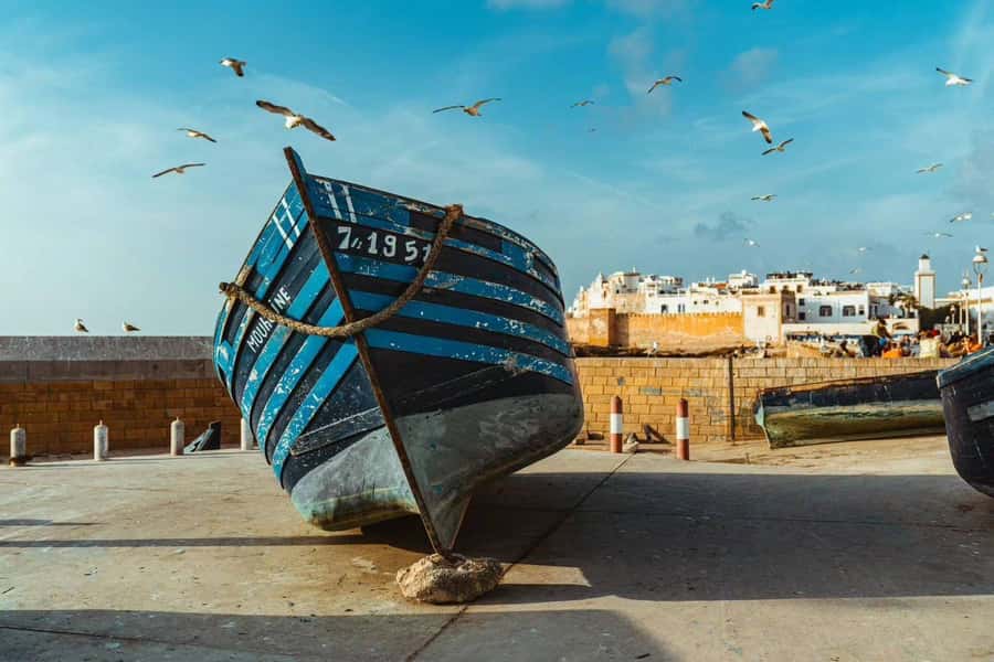 Explore Essaouira's Secrets: A Guided Tour with a Local! - The promised hammam visit needs a clear answer