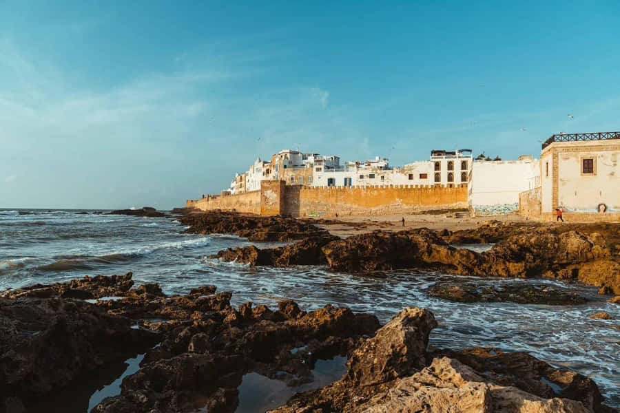 Explore Essaouira's Secrets: A Guided Tour with a Local! - Languages, access, and cancellation