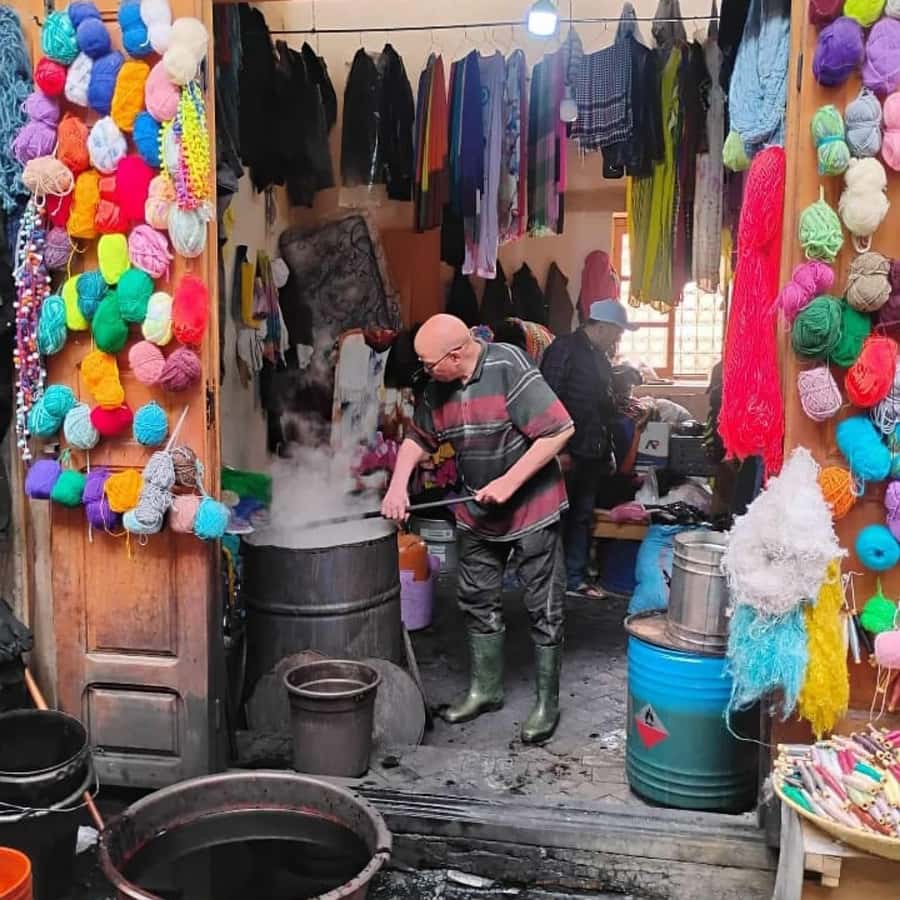Explore Fes: Unforgettable Guided Walking Tour of the Medina - Why a guide helps inside the Fes Medina