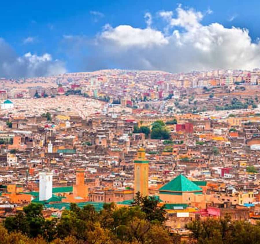 Explore Fes: Unforgettable Guided Walking Tour of the Medina - Why the $15 price is strong value