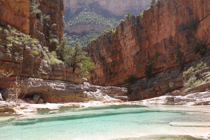 Explore Paradise Valley and Atlas Mountains in Agadir - Hotel pickup keeps the morning straightforward