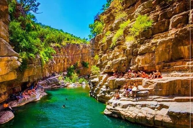 Explore Paradise Valley and Atlas Mountains in Agadir - The botanic garden offers a gentle first stop