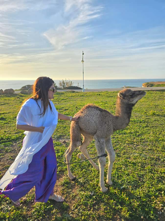 Explore Tangier: Cap Spartel, Cave, & Camel Ride Adventure - Key points to know before you book