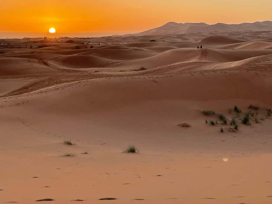 Fes: 3 Days Desert Tour from Fes back to Fez - Who should book this Fes to Fez tour?