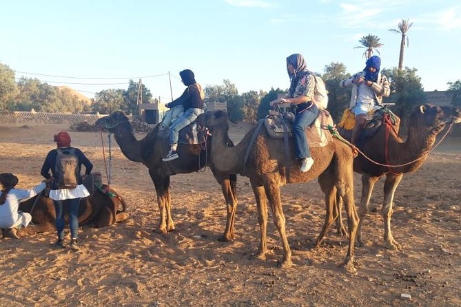 Fes desert tours 2 days - Sunrise by camel at Erg Chebbi