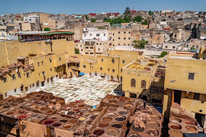 Fes Guided Tours Full Day - Why a private Fes tour helps