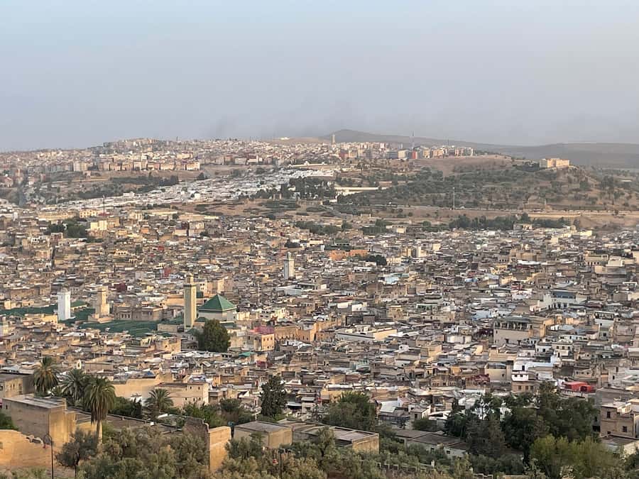 Fes: Medina Guided Tour with Local - Chaouwara Tannery, the unavoidable classic