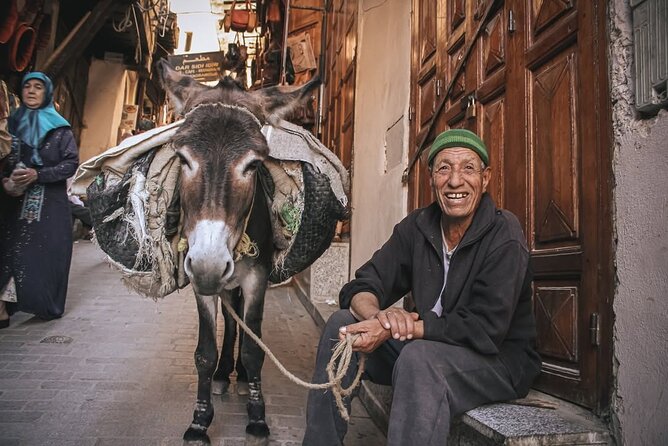 Fes Medina Walking Tour - Key points about this Fes Medina walk