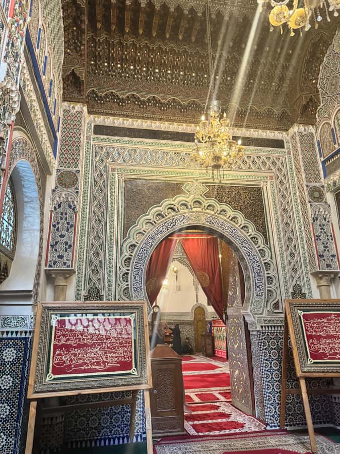 Fes: Museum, Al Attarine Madrasa & Tannery and Medina Tour - Pace, group style, and comfort