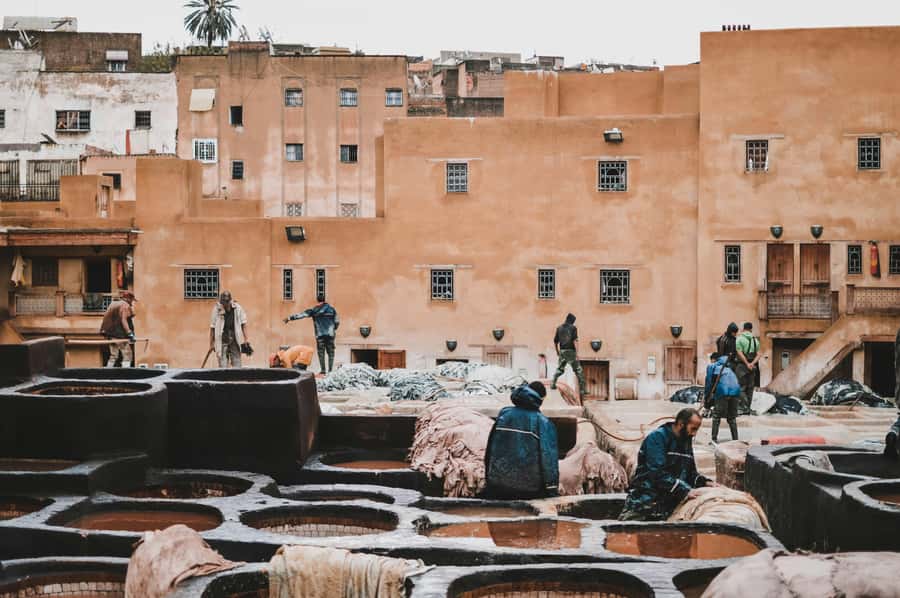 Fes: Royal Palace, Madrasa, Tannery & Souks and Medina Tour - Al-Qarawiyyin Mosque and University from outside