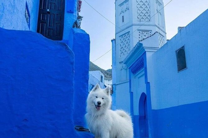 FES TO Chefchaouen Day Trip- luxury Private Tour - Arriving in Chefchaouen’s blue medina