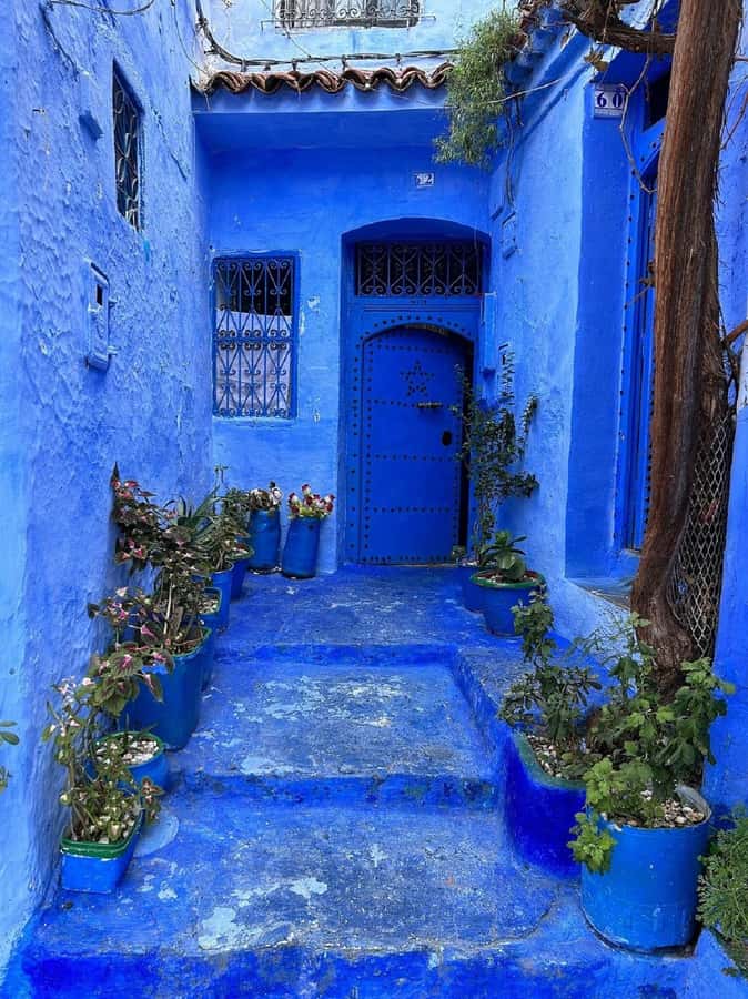 Fes to Chefchaouen Day Trip multi languages(EN/FR/ES/IT/AR) - Leaving Fes at 8 am for the Rif Mountains