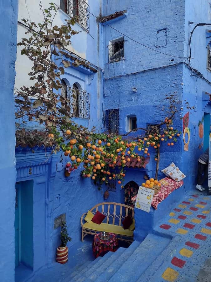 Fes to Chefchaouen Day Trip multi languages(EN/FR/ES/IT/AR) - Who will enjoy this day trip most