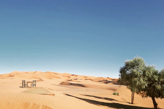 Fes to Desert journey through the heart of Morocco - What This Fes to Marrakech Tour Is Really Like