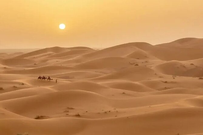 Fes to Desert journey through the heart of Morocco - Who Will Enjoy This Journey Most?