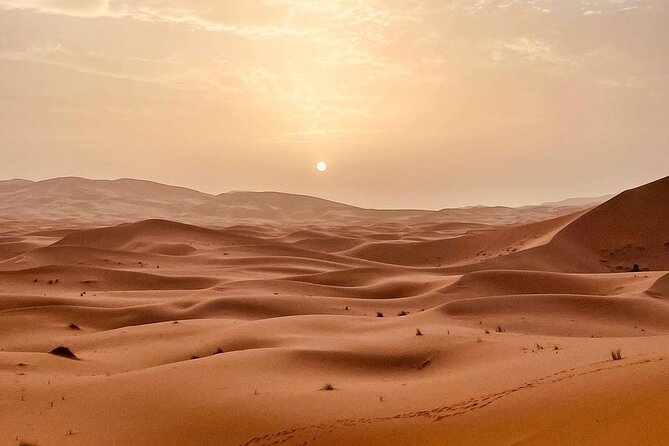 Fes to Desert journey through the heart of Morocco - Sunrise, Rissani, and the Road to Todra Gorge