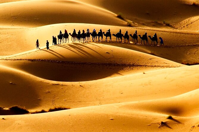 Fes to Fes 2 days via Merzouga desert tour - From the Ziz Valley to the Golden Dunes