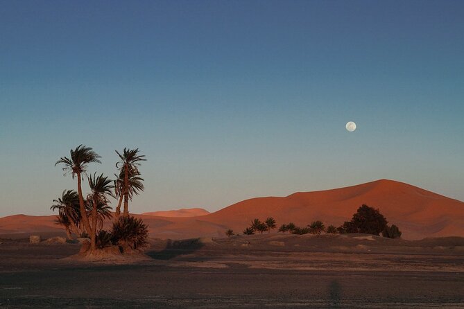 Fes to Fes 2 days via Merzouga desert tour - Ifrane and the Surprising Alpine Side of Morocco