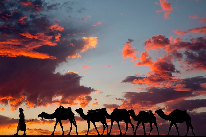 Fes To Marrakech: 3-Day Desert Tour - Day three: Valley of Roses to Ait Ben Haddou
