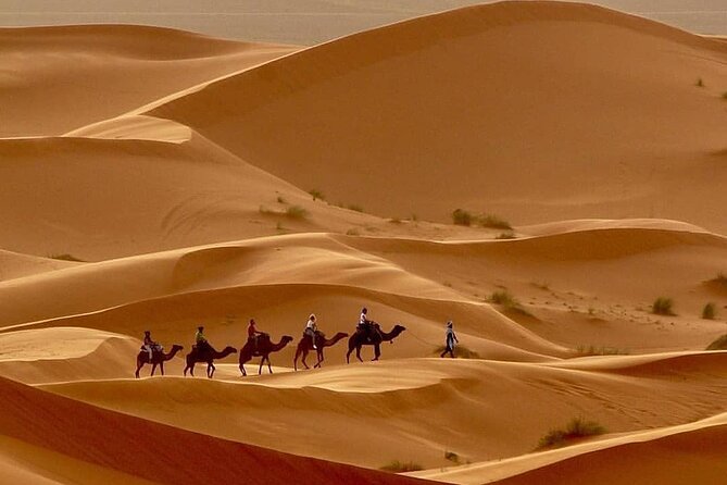 Fes To Marrakech: 3-Day Desert Tour - Guides, vehicles, and the human factor