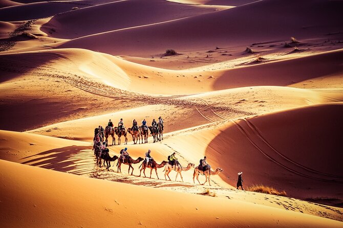 Fes to Marrakech 3 Days Desert Tour - The highlights at a glance