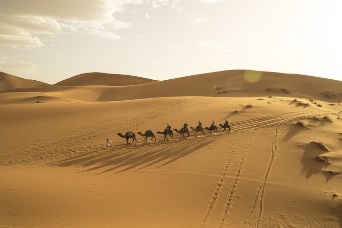 Fes to Marrakech 3 Days Desert Tour - Who should book this Fes to Marrakech tour?