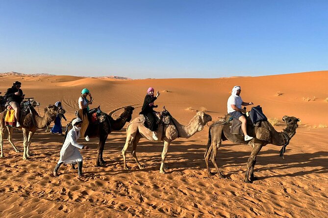 Fes To Marrakech : 3 Days Tour Via The Desert Of Merzouga & Camel - Day One: Azrou Monkeys, the Ziz Valley, and Erg Chebbi