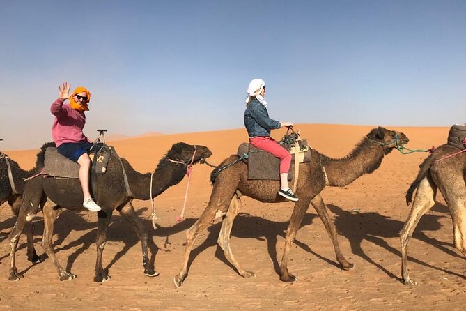 Fes To Marrakech : 3 Days Tour Via The Desert Of Merzouga & Camel - Day Two: Sunrise, Todgha Gorge, and a Dades Valley Hotel