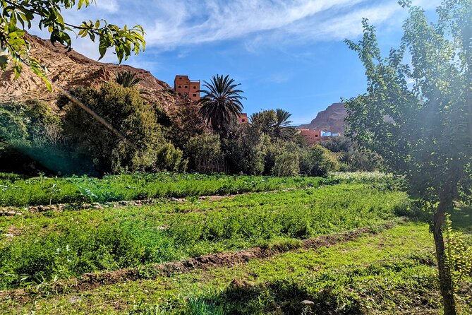 Fes To Marrakech : 3 Days Tour Via The Desert Of Merzouga & Camel - Day Three: Ouarzazate, Ait Ben Haddou, and the High Atlas