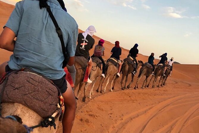 Fes To Marrakech : 3 Days Tour Via The Desert Of Merzouga & Camel - Guides, Drivers, and the Private Tour Advantage