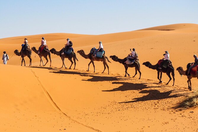 Fes To Marrakech : 3 Days Tour Via The Desert Of Merzouga & Camel - Who Should Book This Three-Day Crossing?