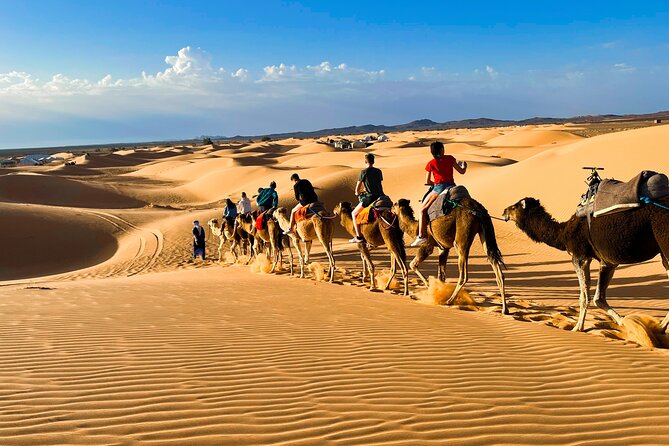 Fes to Marrakech desert tour 3 days - What the $391.61 price really covers
