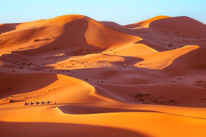 Fes to Marrakech desert tour 3 days - The vehicle, guides, and group size