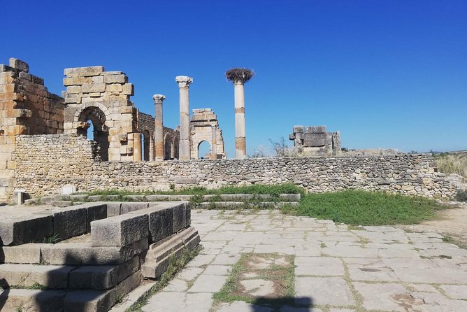 Fes to Volubilis, Moulay Idriss and Meknes Private Day Trip - Why this route works from Fez