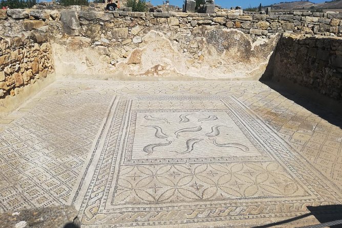 Fes to Volubilis, Moulay Idriss and Meknes Private Day Trip - What the private driver adds