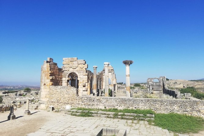 Fes to Volubilis, Moulay Idriss and Meknes Private Day Trip - Timing, comfort, and the road between stops