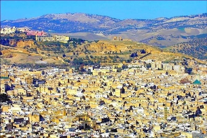 Fez Day Tour - The medina: Fez’s living center