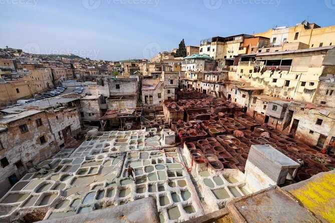 Fez Guided Tour - Bou Inania and Al Attarine madrasas