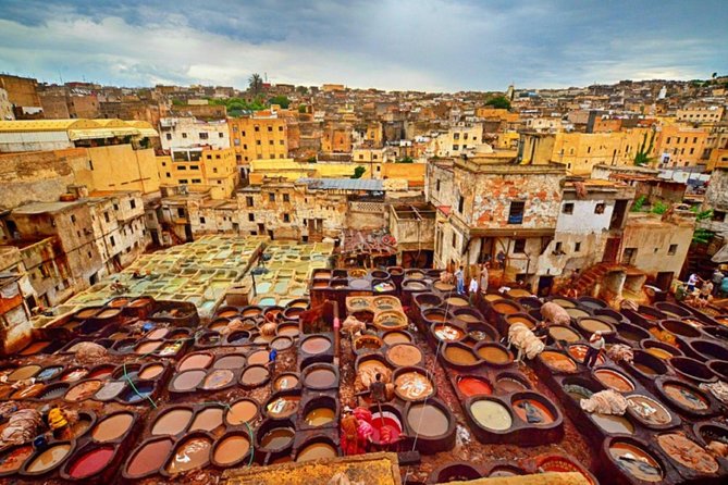 Fez Guided Tour with lunch from Casablanca - Chouara Tannery, Fez’s most striking craft stop