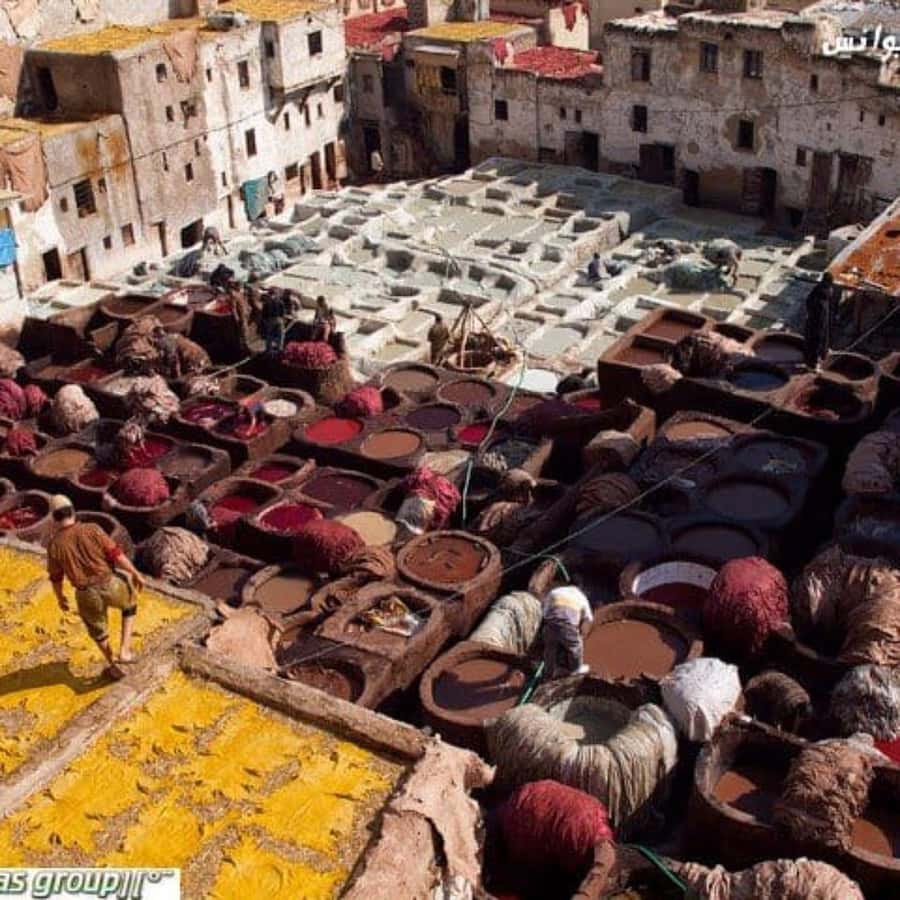 Fez: Guided Walking Tour of the Historic Medina - Souks, food stalls, and the taste of everyday Fez