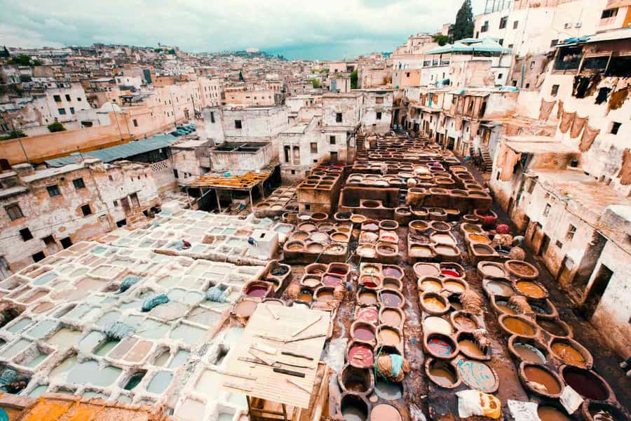 Fez: Half-Day Sightseeing Tour - Starting at Bab Boujloud, Fez’s Blue Gateway