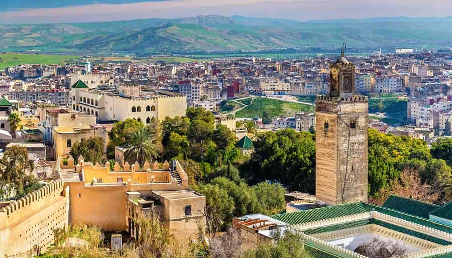 Fez: Half-Day Sightseeing Tour - Fez’s Leather Tannery